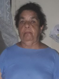 Lourdes Pereira de Paula